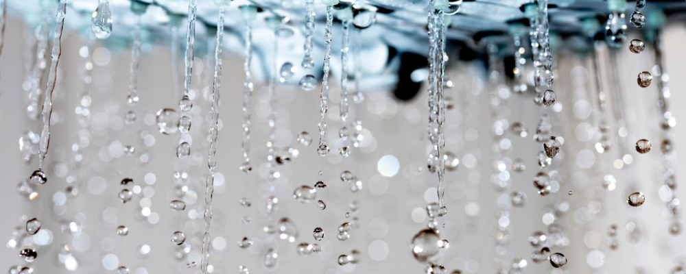 Electric Shower Maintenance Tips: Keeping Your Shower in Top Condition Electric Shower Maintenance Tips: Keeping Your Shower in Top Condition