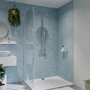 Round Dual Outlet Mixer Shower